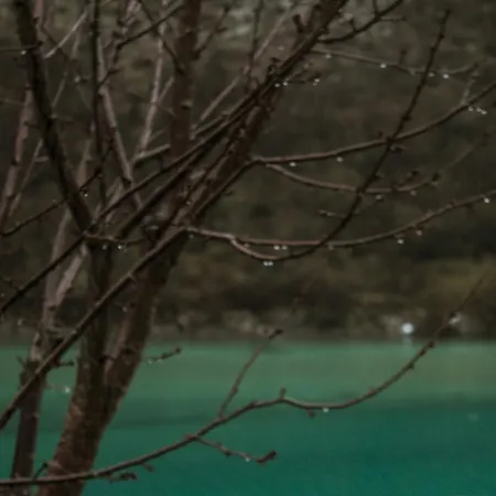 Kuca Lavanda Dom wakacyjny Dreznjak