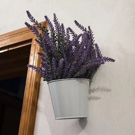 Kuca Lavanda Casa de Férias Dreznjak