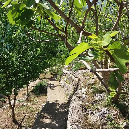 Kuca Lavanda Casa de Férias