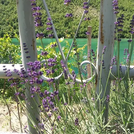 Kuca Lavanda * Dreznjak