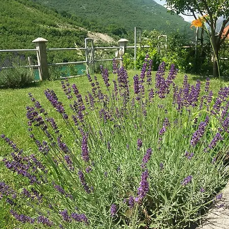 Kuca Lavanda
