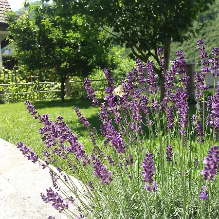 Casa de Férias Kuca Lavanda *